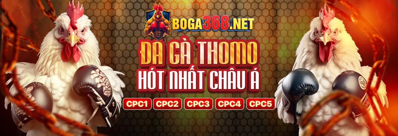 Hoàn trả cược nổ hũ i9bet141